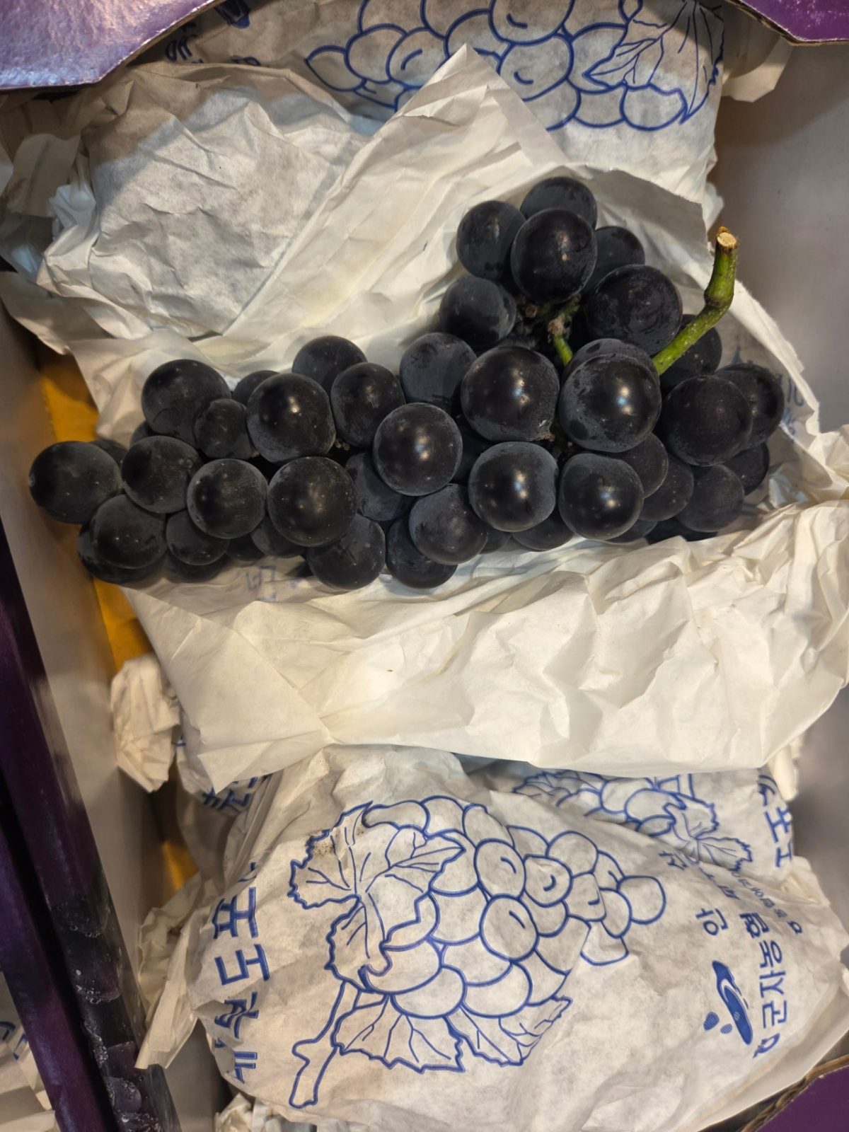 캠벨포도 2kg